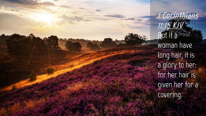 Picture 04 - 1 Corinthians 11:15 KJV Desktop Wallpaper - But if a woman have long hair, it is a glory to - Desktop Bible Verse Wallpaper