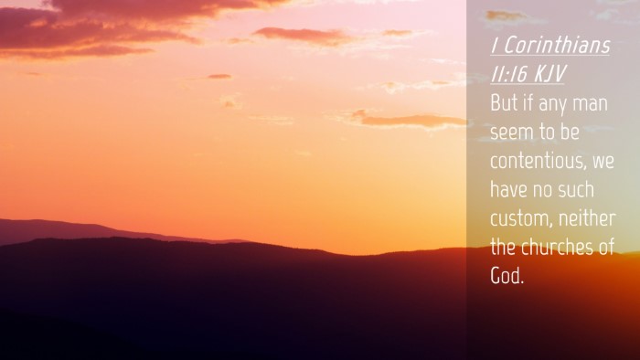 Picture 04 - 1 Corinthians 11:16 KJV Desktop Wallpaper - But if any man seem to be contentious, we have no - Desktop Bible Verse Wallpaper