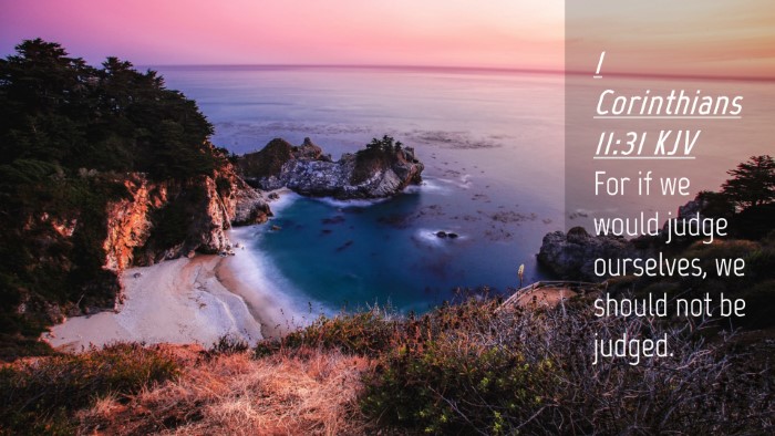 Picture 04 - 1 Corinthians 11:31 KJV Desktop Wallpaper - For if we would judge ourselves, we should not be - Desktop Bible Verse Wallpaper