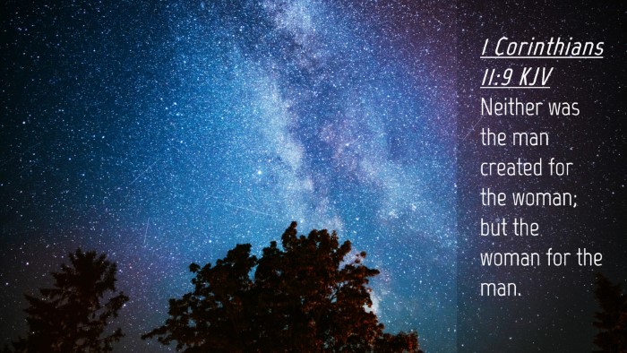 Picture 04 - 1 Corinthians 11:9 KJV Desktop Wallpaper - Neither was the man created for the woman; but - Desktop Bible Verse Wallpaper