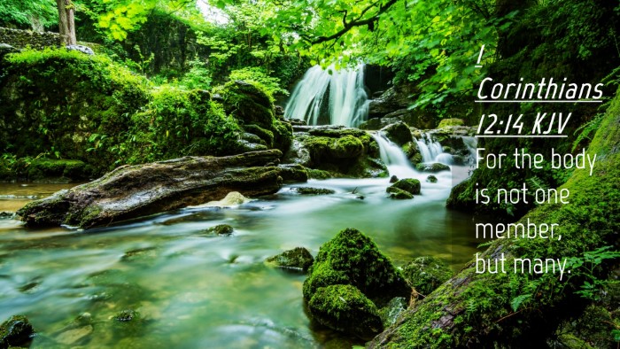 Picture 04 - 1 Corinthians 12:14 KJV Desktop Wallpaper - For the body is not one member, but - Desktop Bible Verse Wallpaper