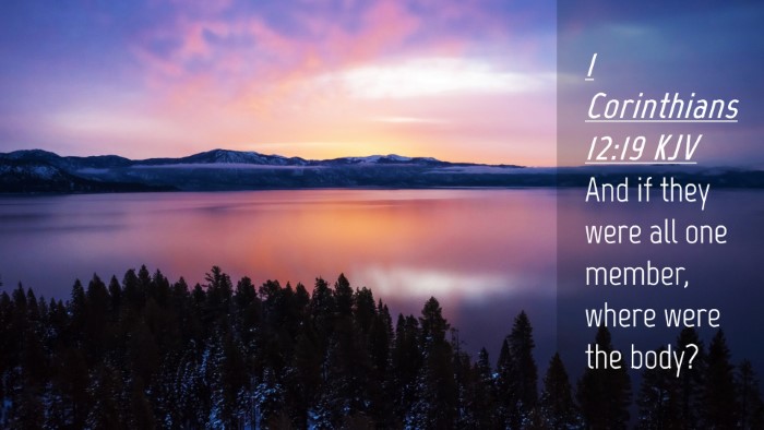 Picture 04 - 1 Corinthians 12:19 KJV Desktop Wallpaper - And if they were all one member, where were the - Desktop Bible Verse Wallpaper