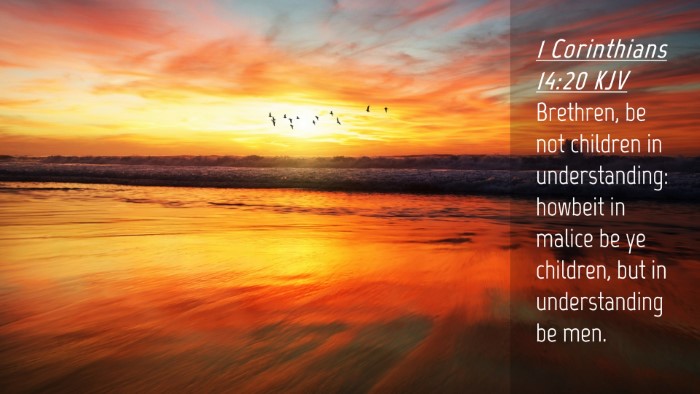 Picture 04 - 1 Corinthians 14:20 KJV Desktop Wallpaper - Brethren, be not children in understanding: - Desktop Bible Verse Wallpaper