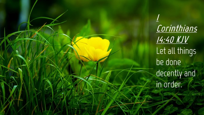 Picture 04 - 1 Corinthians 14:40 KJV Desktop Wallpaper - Let all things be done decently and in - Desktop Bible Verse Wallpaper