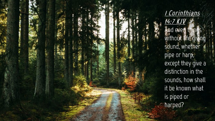 Picture 04 - 1 Corinthians 14:7 KJV Desktop Wallpaper - And even things without life giving sound, - Desktop Bible Verse Wallpaper