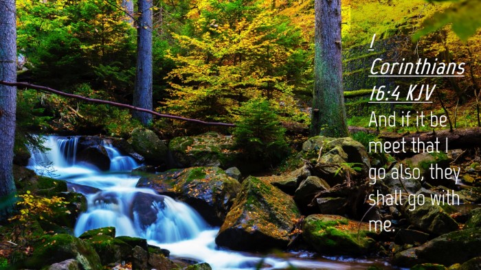 Picture 04 - 1 Corinthians 16:4 KJV Desktop Wallpaper - And if it be meet that I go also, they shall go - Desktop Bible Verse Wallpaper