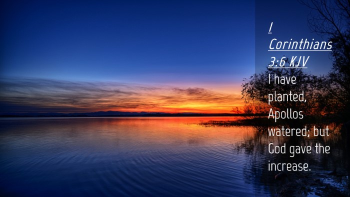 Picture 04 - 1 Corinthians 3:6 KJV Desktop Wallpaper - I have planted, Apollos watered; but God gave the - Desktop Bible Verse Wallpaper