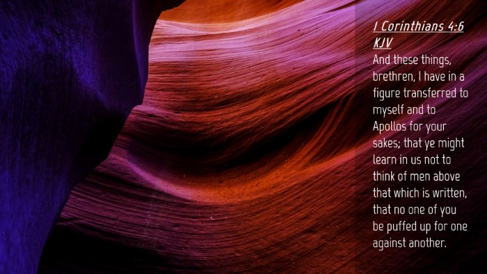 Picture 04 - 1 Corinthians 4:6 KJV Desktop Wallpaper - And these things, brethren, I have in a figure - Desktop Bible Verse Wallpaper