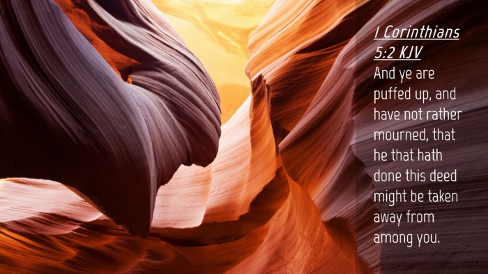 Picture 04 - 1 Corinthians 5:2 KJV Desktop Wallpaper - And ye are puffed up, and have not rather - Desktop Bible Verse Wallpaper