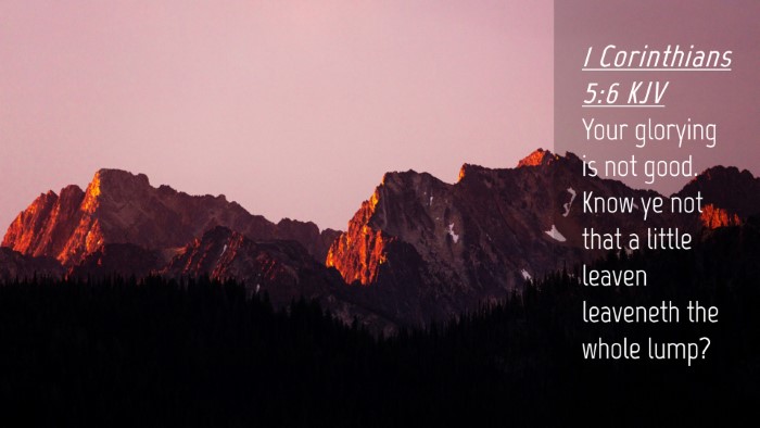 Picture 04 - 1 Corinthians 5:6 KJV Desktop Wallpaper - Your glorying is not good. Know ye not that a - Desktop Bible Verse Wallpaper
