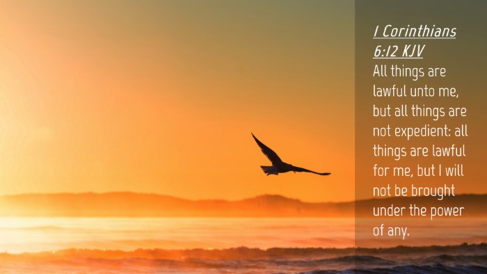 Picture 04 - 1 Corinthians 6:12 KJV Desktop Wallpaper - All things are lawful unto me, but all things are - Desktop Bible Verse Wallpaper