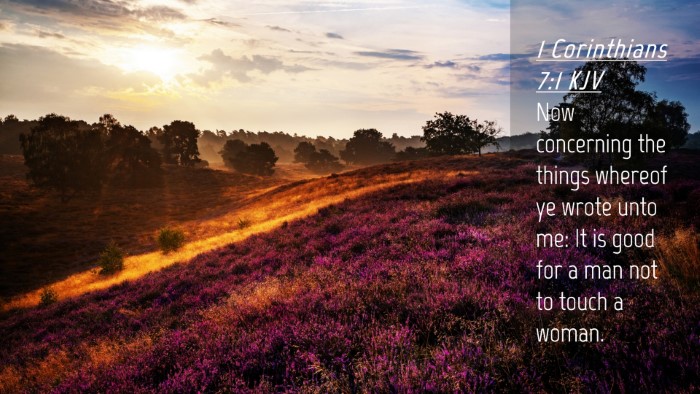 Picture 04 - 1 Corinthians 7:1 KJV Desktop Wallpaper - Now concerning the things whereof ye wrote unto - Desktop Bible Verse Wallpaper