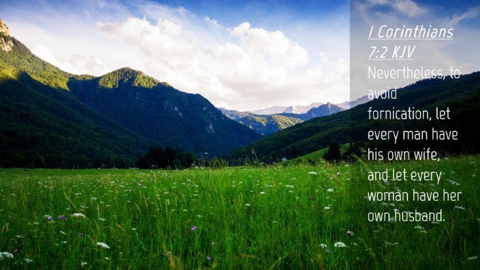 Picture 04 - 1 Corinthians 7:2 KJV Desktop Wallpaper - Nevertheless, to avoid fornication, let every man - Desktop Bible Verse Wallpaper
