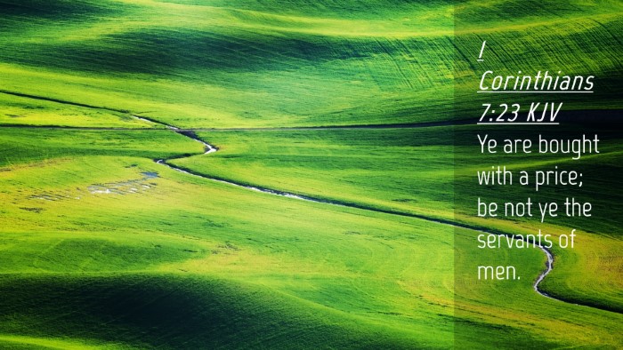 Picture 04 - 1 Corinthians 7:23 KJV Desktop Wallpaper - Ye are bought with a price; be not ye the - Desktop Bible Verse Wallpaper