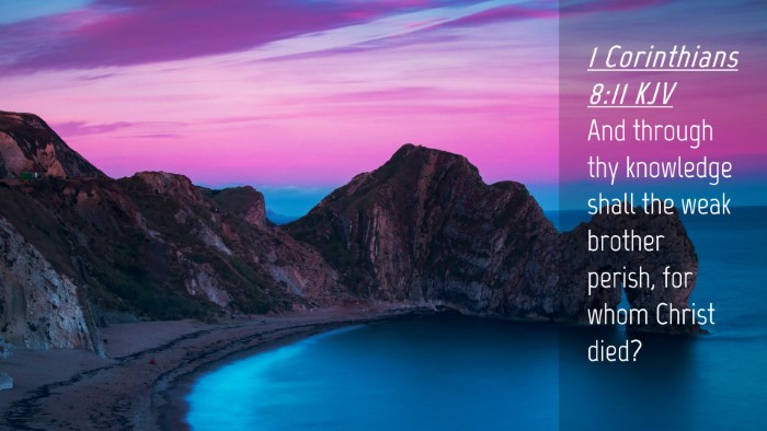 Picture 04 - 1 Corinthians 8:11 KJV Desktop Wallpaper - And through thy knowledge shall the weak brother - Desktop Bible Verse Wallpaper