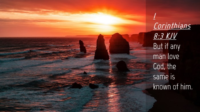 Picture 04 - 1 Corinthians 8:3 KJV Desktop Wallpaper - But if any man love God, the same is known of - Desktop Bible Verse Wallpaper