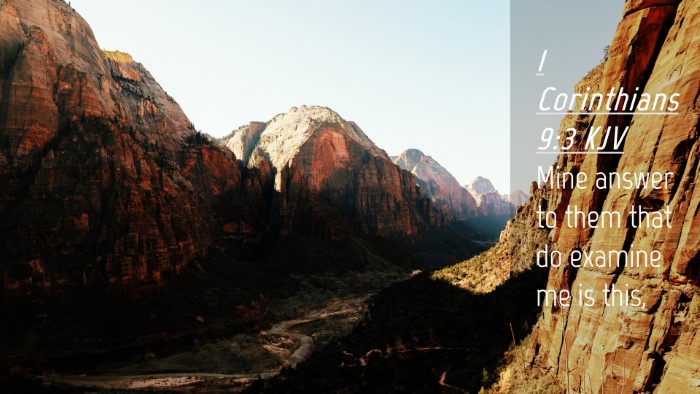Picture 04 - 1 Corinthians 9:3 KJV Desktop Wallpaper - Mine answer to them that do examine me is - Desktop Bible Verse Wallpaper