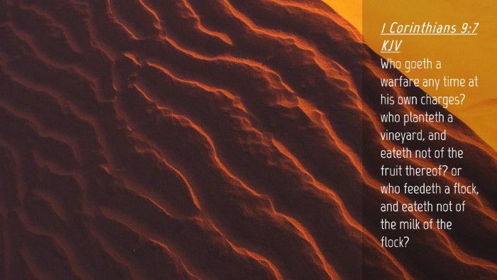 Picture 04 - 1 Corinthians 9:7 KJV Desktop Wallpaper - Who goeth a warfare any time at his own charges? - Desktop Bible Verse Wallpaper