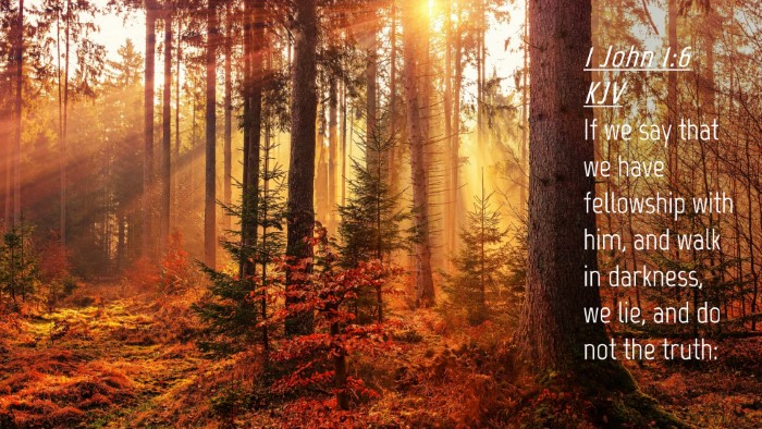 Picture 04 - 1 John 1:6 KJV Desktop Wallpaper - If we say that we have fellowship with him, and - Desktop Bible Verse Wallpaper