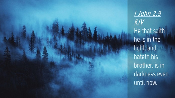Picture 04 - 1 John 2:9 KJV Desktop Wallpaper - He that saith he is in the light, and hateth his - Desktop Bible Verse Wallpaper