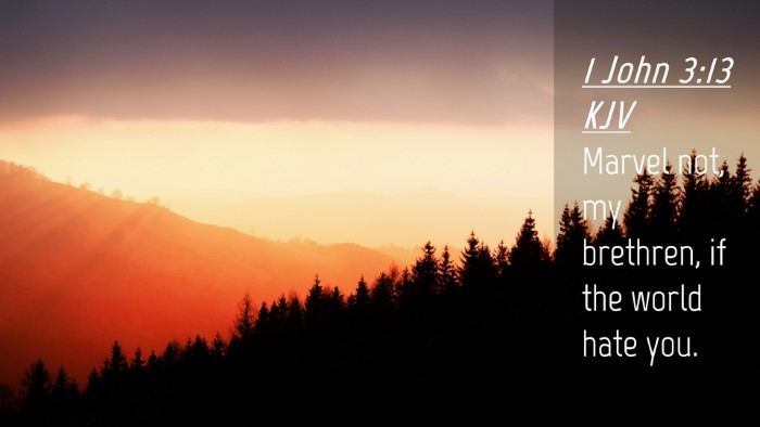Picture 04 - 1 John 3:13 KJV Desktop Wallpaper - Marvel not, my brethren, if the world hate - Desktop Bible Verse Wallpaper