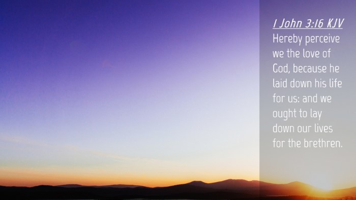 Picture 04 - 1 John 3:16 KJV Desktop Wallpaper - Hereby perceive we the love of God, because he - Desktop Bible Verse Wallpaper