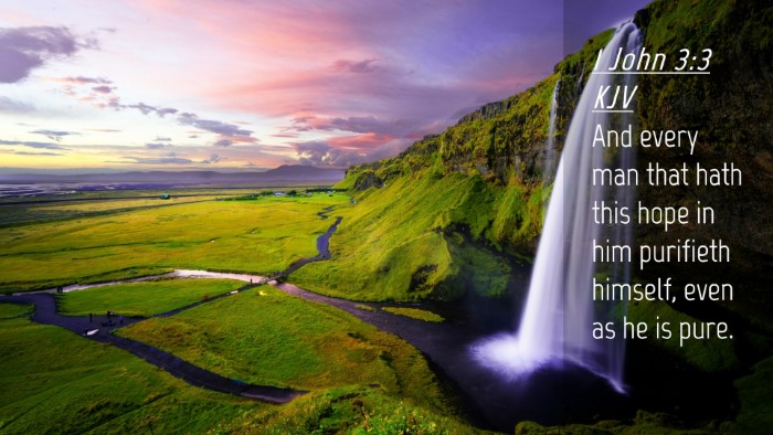 Picture 04 - 1 John 3:3 KJV Desktop Wallpaper - And every man that hath this hope in him - Desktop Bible Verse Wallpaper