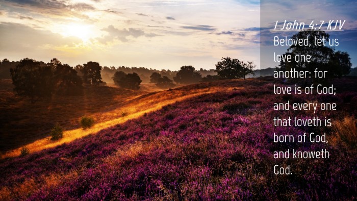Picture 04 - 1 John 4:7 KJV Desktop Wallpaper - Beloved, let us love one another: for love is of - Desktop Bible Verse Wallpaper