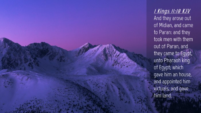 Picture 04 - 1 Kings 11:18 KJV Desktop Wallpaper - And they arose out of Midian, and came to Paran: - Desktop Bible Verse Wallpaper