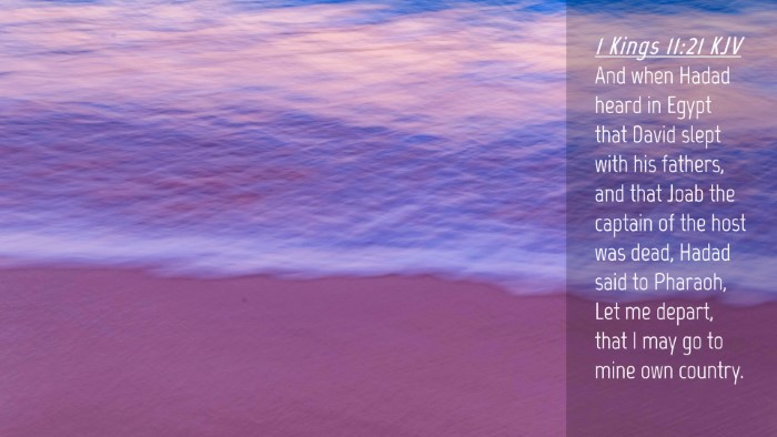 Picture 04 - 1 Kings 11:21 KJV Desktop Wallpaper - And when Hadad heard in Egypt that David slept - Desktop Bible Verse Wallpaper