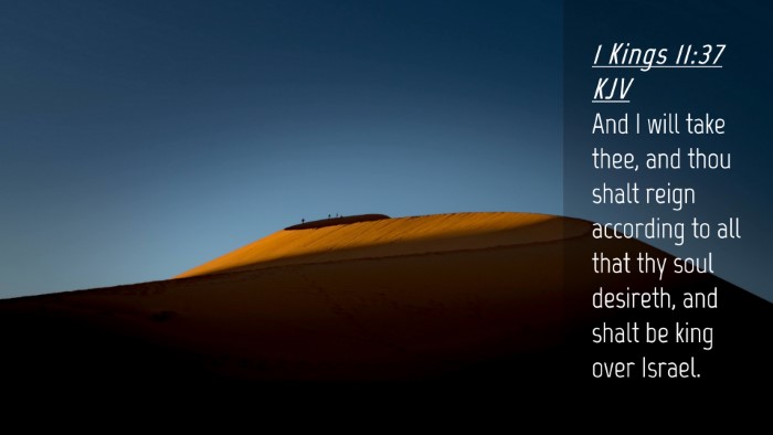 Picture 04 - 1 Kings 11:37 KJV Desktop Wallpaper - And I will take thee, and thou shalt reign - Desktop Bible Verse Wallpaper