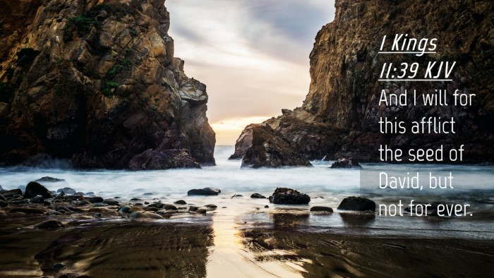 Picture 04 - 1 Kings 11:39 KJV Desktop Wallpaper - And I will for this afflict the seed of David, - Desktop Bible Verse Wallpaper
