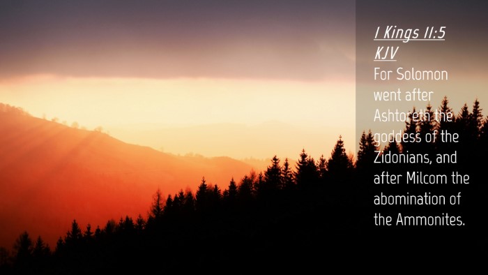 Picture 04 - 1 Kings 11:5 KJV Desktop Wallpaper - For Solomon went after Ashtoreth the goddess of - Desktop Bible Verse Wallpaper
