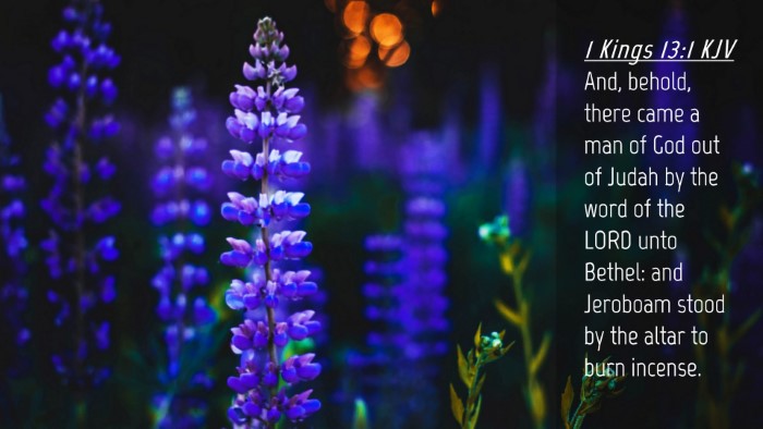 Picture 04 - 1 Kings 13:1 KJV Desktop Wallpaper - And, behold, there came a man of God out of Judah - Desktop Bible Verse Wallpaper