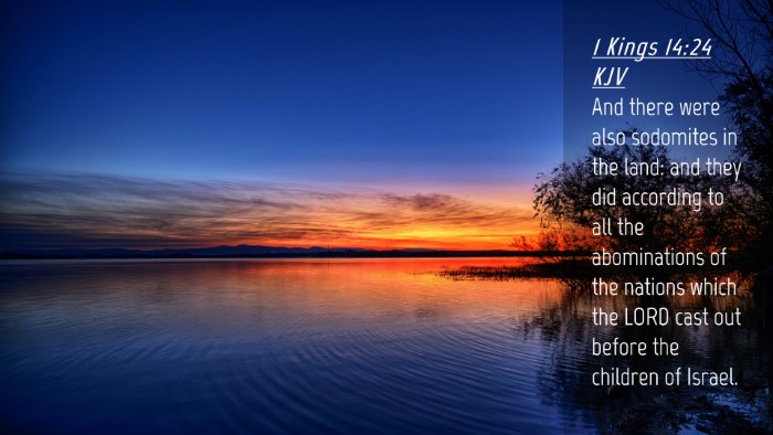 Picture 04 - 1 Kings 14:24 KJV Desktop Wallpaper - And there were also sodomites in the land: and - Desktop Bible Verse Wallpaper
