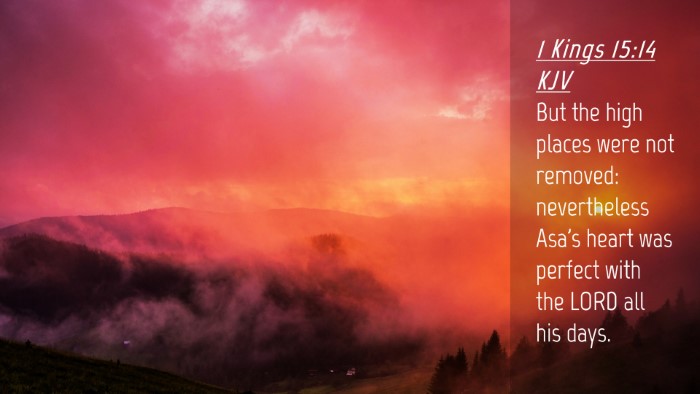Picture 04 - 1 Kings 15:14 KJV Desktop Wallpaper - But the high places were not removed: - Desktop Bible Verse Wallpaper