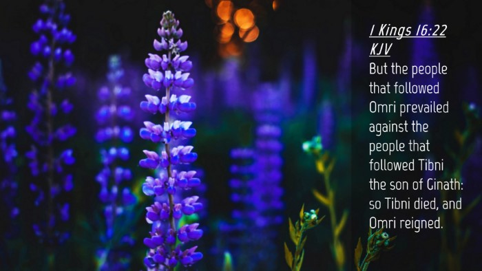 Picture 04 - 1 Kings 16:22 KJV Desktop Wallpaper - But the people that followed Omri prevailed - Desktop Bible Verse Wallpaper