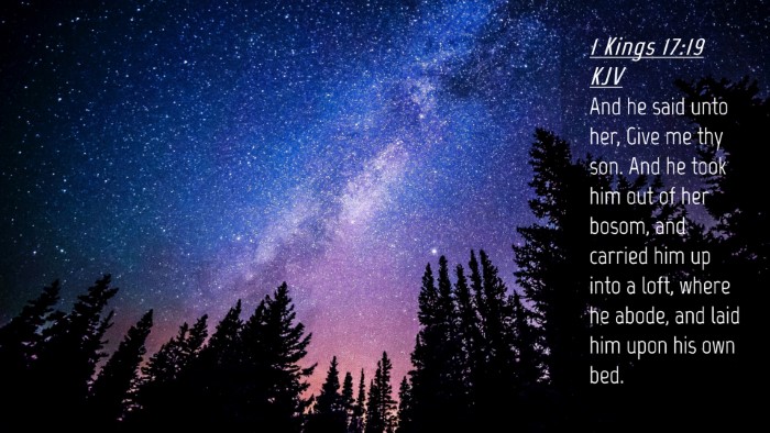 Picture 04 - 1 Kings 17:19 KJV Desktop Wallpaper - And he said unto her, Give me thy son. And he - Desktop Bible Verse Wallpaper