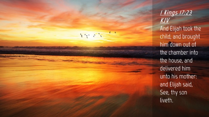 Picture 04 - 1 Kings 17:23 KJV Desktop Wallpaper - And Elijah took the child, and brought him down - Desktop Bible Verse Wallpaper