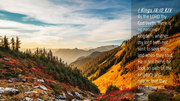 Picture 04 - 1 Kings 18:10 KJV Desktop Wallpaper - As the LORD thy God liveth, there is no nation or - Desktop Bible Verse Wallpaper