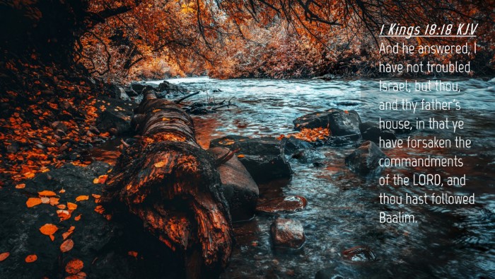 Picture 04 - 1 Kings 18:18 KJV Desktop Wallpaper - And he answered, I have not troubled Israel; but - Desktop Bible Verse Wallpaper