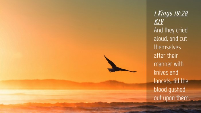 Picture 04 - 1 Kings 18:28 KJV Desktop Wallpaper - And they cried aloud, and cut themselves after - Desktop Bible Verse Wallpaper