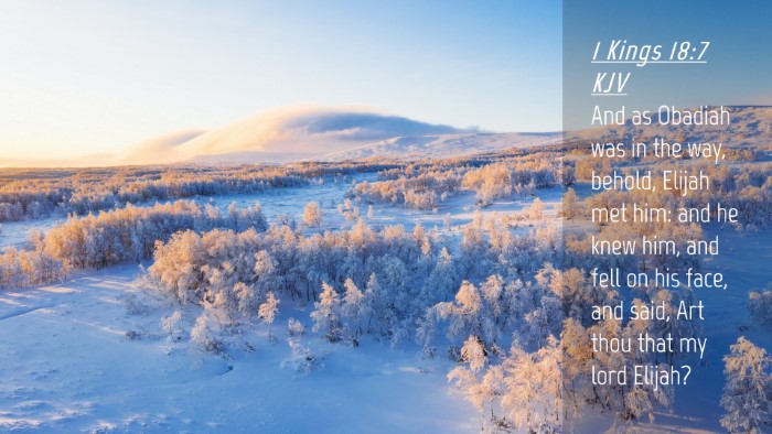Picture 04 - 1 Kings 18:7 KJV Desktop Wallpaper - And as Obadiah was in the way, behold, Elijah met - Desktop Bible Verse Wallpaper