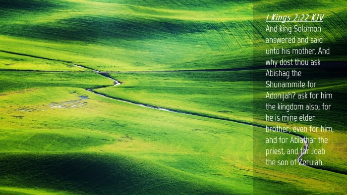 Picture 04 - 1 Kings 2:22 KJV Desktop Wallpaper - And king Solomon answered and said unto his - Desktop Bible Verse Wallpaper