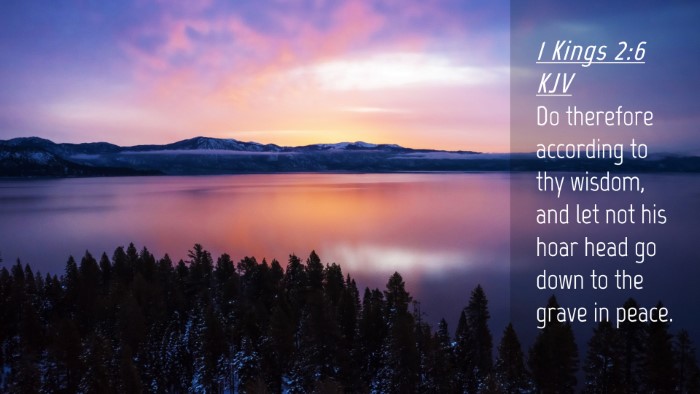 Picture 04 - 1 Kings 2:6 KJV Desktop Wallpaper - Do therefore according to thy wisdom, and let not - Desktop Bible Verse Wallpaper