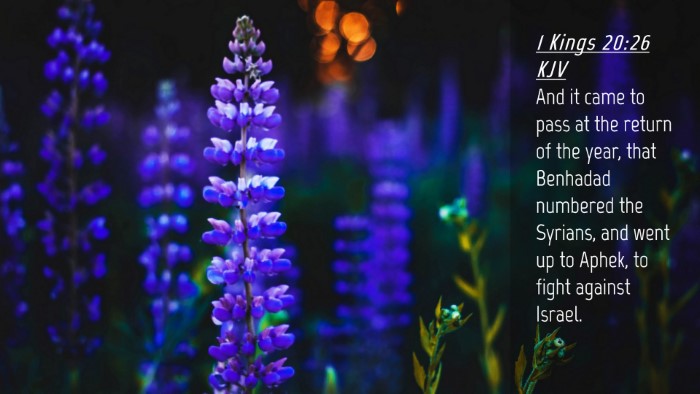 Picture 04 - 1 Kings 20:26 KJV Desktop Wallpaper - And it came to pass at the return of the year, - Desktop Bible Verse Wallpaper