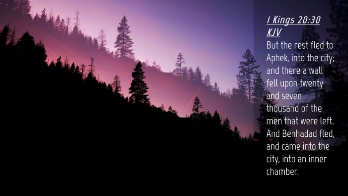 Picture 04 - 1 Kings 20:30 KJV Desktop Wallpaper - But the rest fled to Aphek, into the city; and - Desktop Bible Verse Wallpaper