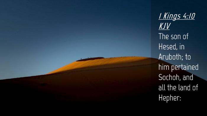 Picture 04 - 1 Kings 4:10 KJV Desktop Wallpaper - The son of Hesed, in Aruboth; to him pertained - Desktop Bible Verse Wallpaper