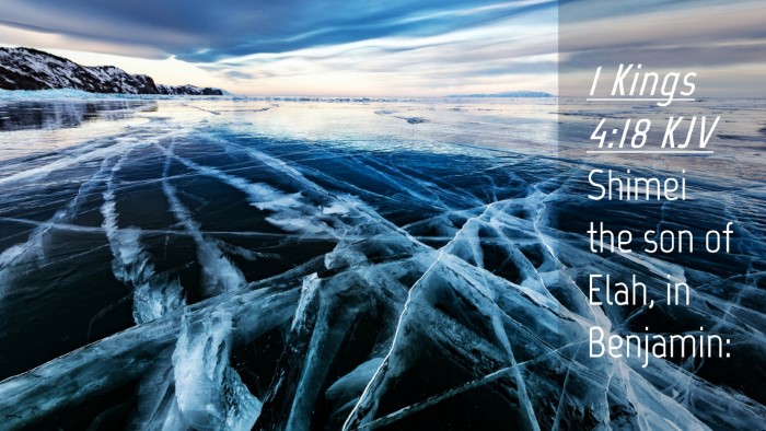 Picture 04 - 1 Kings 4:18 KJV Desktop Wallpaper - Shimei the son of Elah, in - Desktop Bible Verse Wallpaper