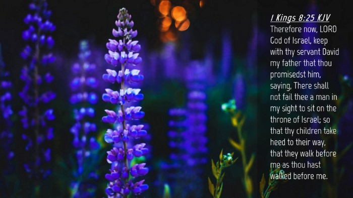 Picture 04 - 1 Kings 8:25 KJV Desktop Wallpaper - Therefore now, LORD God of Israel, keep with thy - Desktop Bible Verse Wallpaper